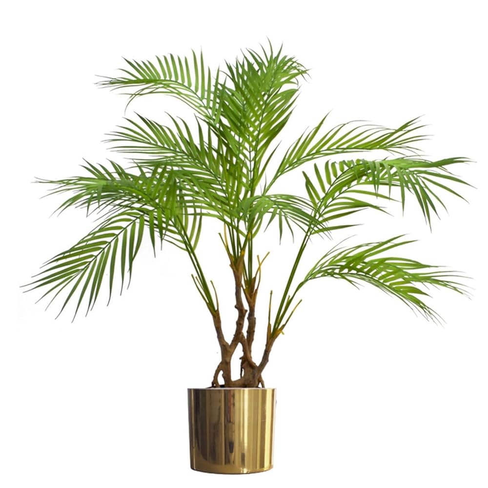 Areca palm 150cm siji Areca palm 150cm siji