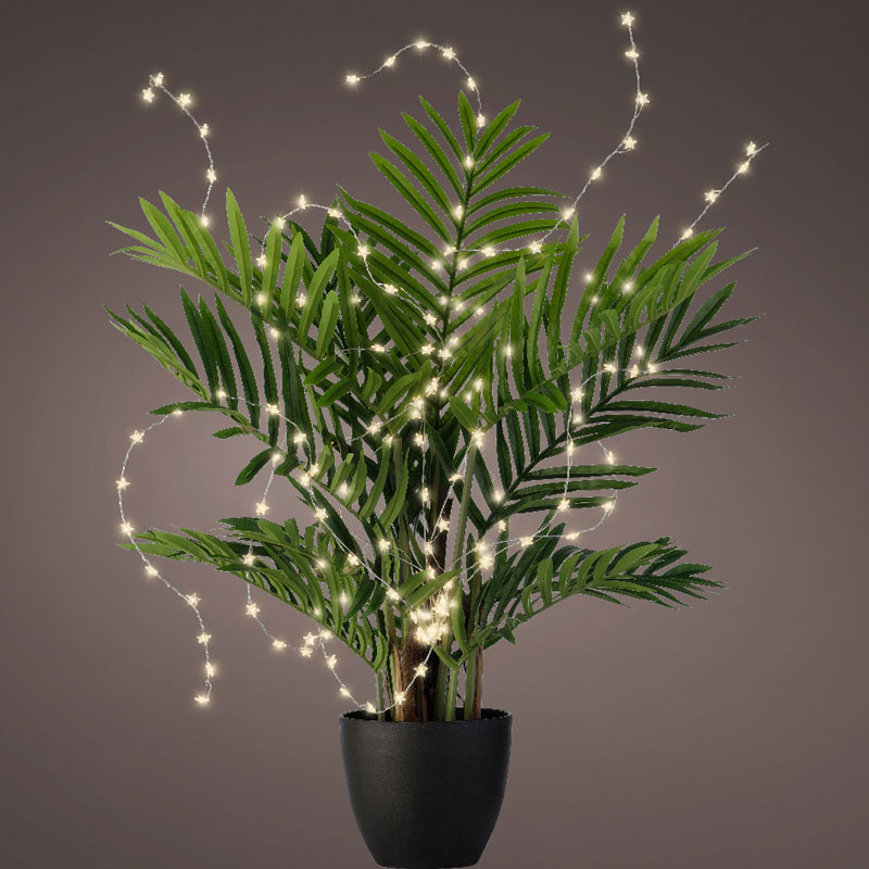 Codium star light hanging30cm-40cm Codium star light hanging30cm-40cm