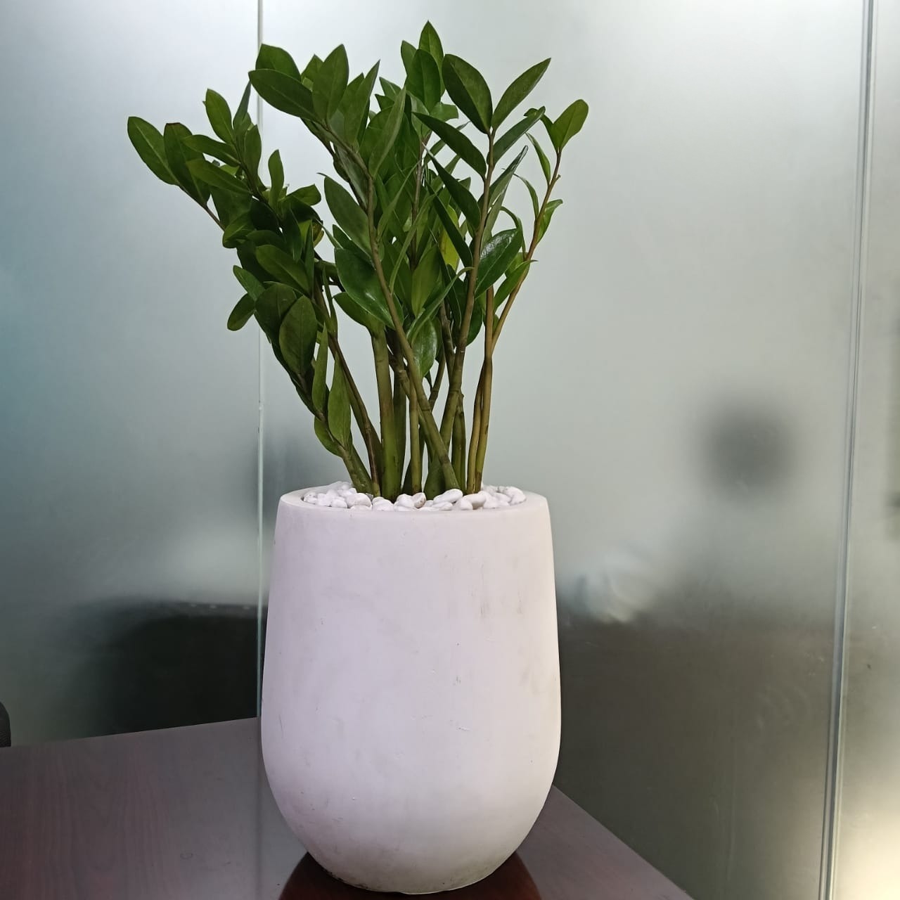 Image gallery marquee