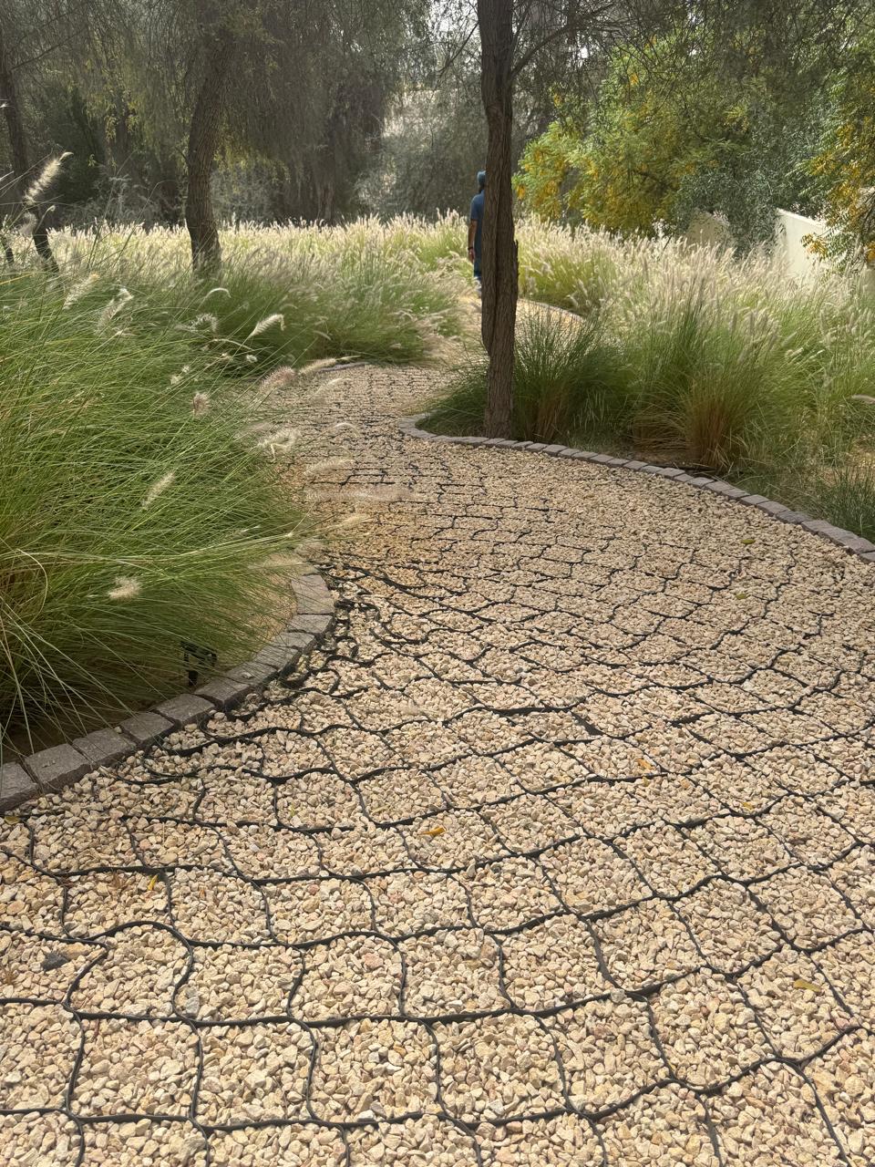 Image gallery marquee